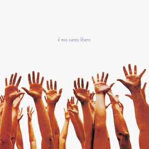 偷拍隐私毛茸茸BBw
